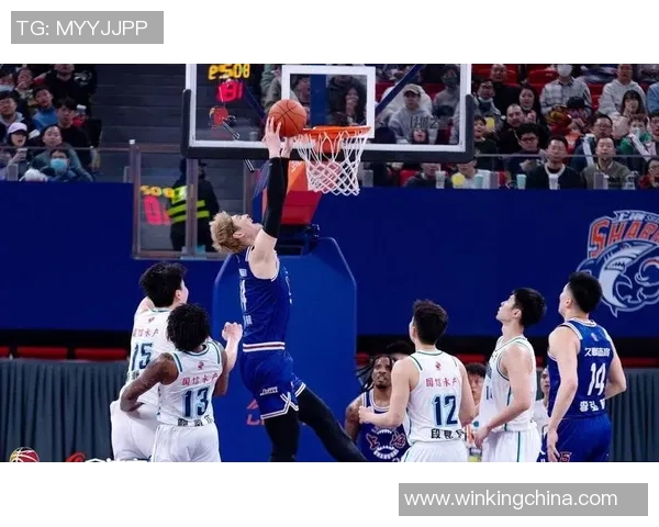 马尔科-查卡莱维奇:CBA赛场上的稳定得分王 马尔科-查卡莱维奇:CBA赛场上的稳定得分王