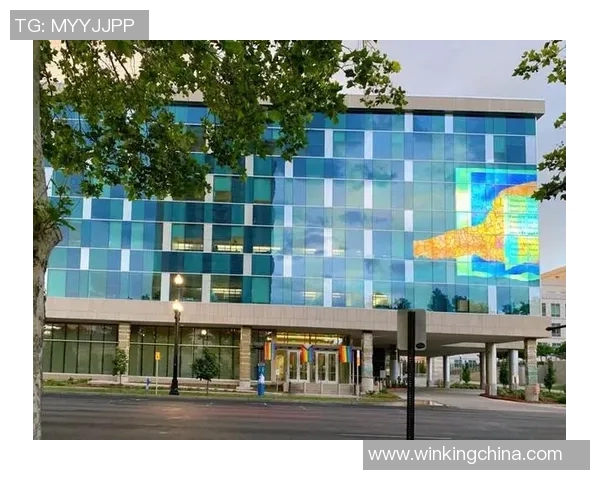 太极拳学习之旅：从基础入门到深层领悟的全面指南