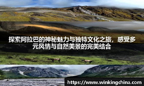 w66官网入口